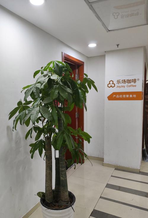 乐场咖啡·茶饮·阅读·自习·办公·会议室（清河嘉园店）的环境